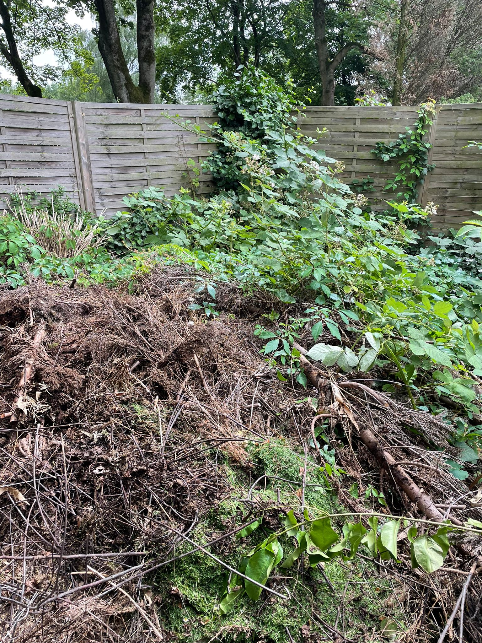 Entfernung von Wurzelwerk und Gartenabfall – Vorbereitungsphase