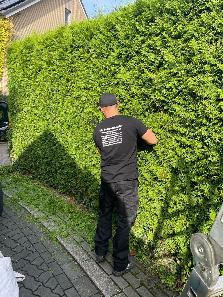 Gärtner bei Formschnitt – professionelle Heckenpflege
