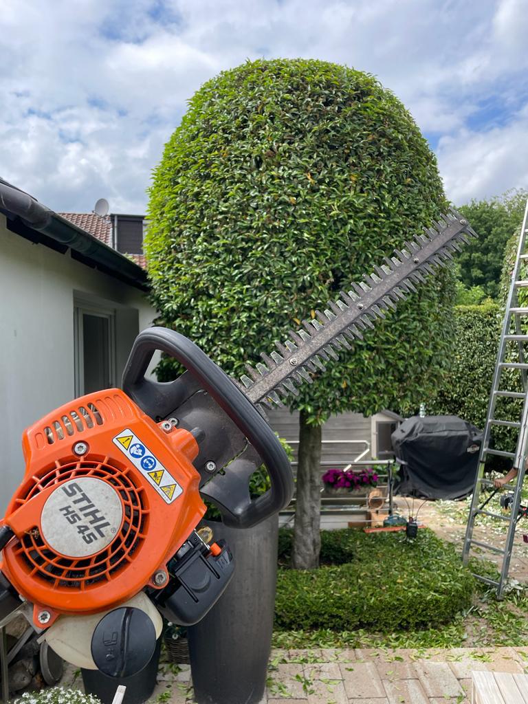 Motorsense & Trimmer – Vorbereitung für Rasenkante & Schnitt
